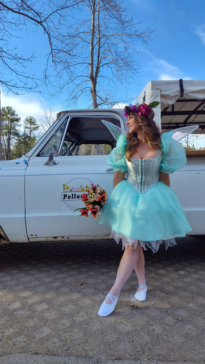 Fairies