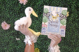 Stork on a stoop Wondergram