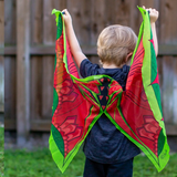Dragon Academy Set