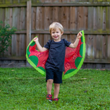Dragon Academy Set